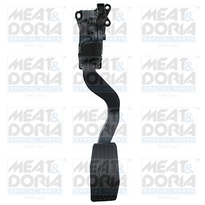 Accelerator Pedal Unit